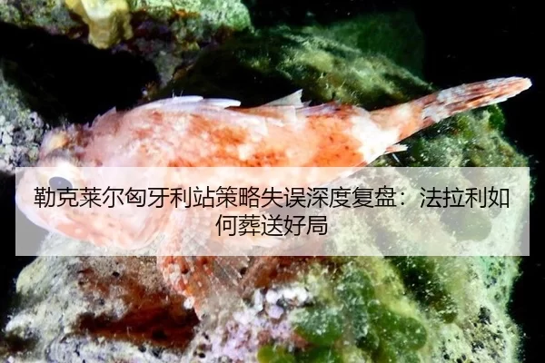 lei-ke-lai-er-xiong-ya-li-zhan-ce-lve-shi-wu-shen-du-fu-pan-fa-la-li-ru-he-zang-song-hao-ju-3-157.jpg